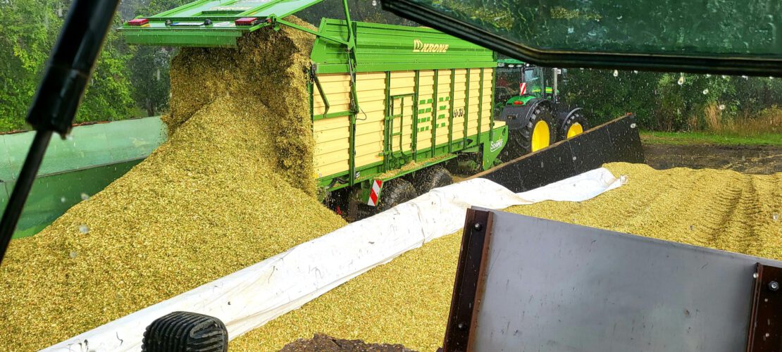Silagetransport 2